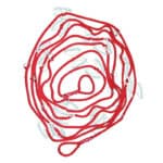 Cuerda de transporte con cinturón