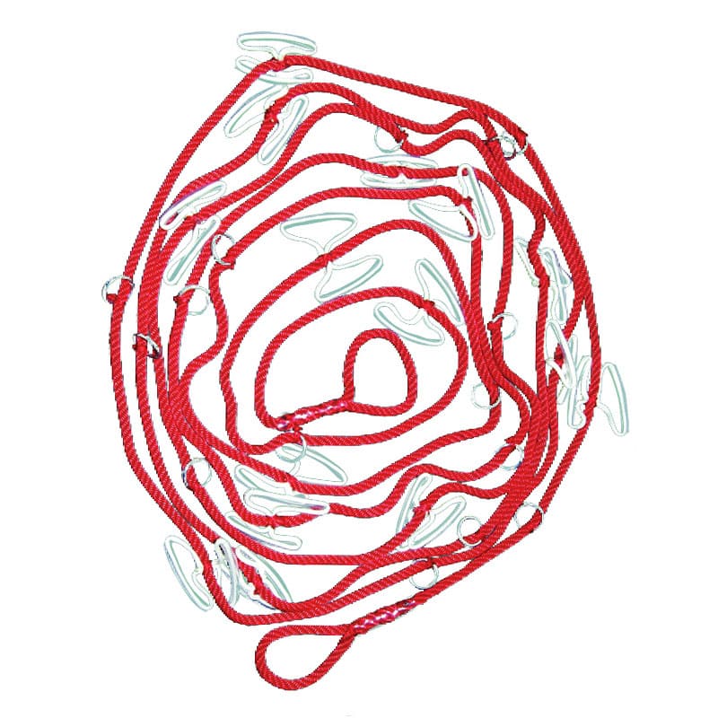 Cuerda de transporte con cinturón