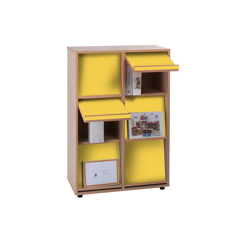 Armario expositor de libros con puertas batientes